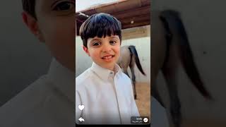 سنابات زياد بن شري 🐎 اخيراً حمد صار خيال 2/7