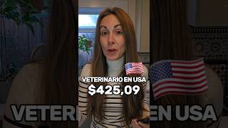 🇺🇸FACTURA DEL VETERINARIO EN USA #cat #cats #gatos #short #shorts #vivirenusa #connecticut #usa