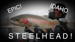 EPIC STEELHEAD FISHING ON THE CLEARWATER RIVER IN IDAHO