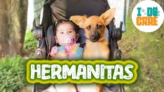 🙏🏼 Encontramos 2 FAMILIAS para estas 2 CACHORRITAS abandonadas