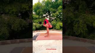 #Urdhvamukha #Tittibhasana #Forward Yoga #Poss  & #Handstanding #Poss #Yoga #shorts Video.