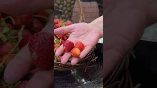 Homemade or Store-Bought? Secrets to the Best Strawberry Jam!