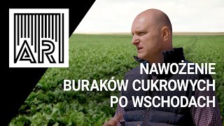 Nawożenie buraków cukrowych po wschodach. Co warto wiedzieć? || AR #149