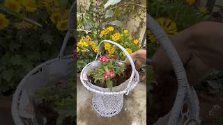 DIY Flower Basket 🌹🌷#youtube #gardening #flowers #plants