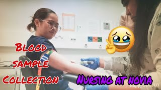 Ep 212: BLOOD SAMPLE COLLECTION/ BLOOD TEST TRAINING/ Nursing at NOVIA