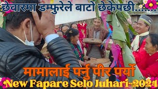 Chhewar`छेवार`मा डम्फुरेले मामालाई बाटो छेक्दा ...New tamang Selo Song|Damfure selo|Tamang culture