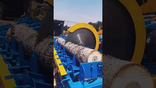 World’s unique wood cutting machine  😱 #shorts #bamboo #woodworking #viral #youtubeshorts #short