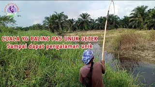 DAPAT YG UNIK⛔ • Cuaca yang pas untuk mancing getek/memair ikan gabus