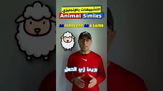 Easy Engleasy II Animal Similes (التتشبيهات بالانجليزي)