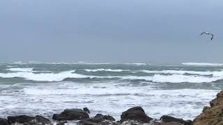 Vent Tempêtueux à la Plage de Kerhillio #morbihan #bretagne #bigwaves 🌊