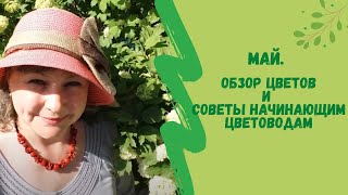 Май. Цветочный хоровод- обзор цветов и советы начинающим цветоводам