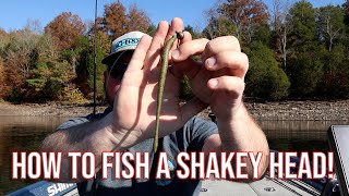 Become a Bass Fishing Pro: Step-by-Step Guide to the Shakey Head Technique