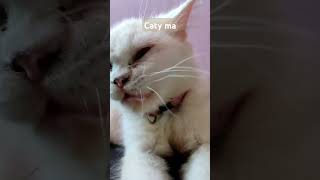 Caty ma | Like | Subscribe | Share