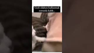 Daha fazla komik videolar için abone olmayı unutmayın #shorts #video #foryou #keşfet #fyp #kısavideo