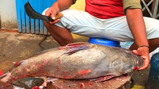 Huge Catfish Cutting With Sharp Knife- Expert Master Fish Cutting Skills In Bangladesh Market