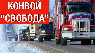 Конвой "Свобода" -- восстание началось?