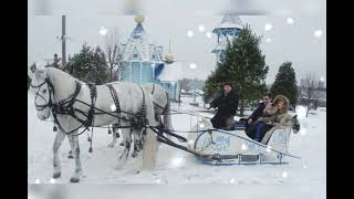 Русские тройки - лучшее развлечение зимы!