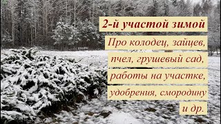 Мой 2-й участок зимой