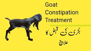 Goat Constipation Treatment