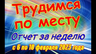 Трудимся по месту. Уголь , удобрение и поездка в Искитим. Неделя с 6 по 10 февраля 2023 года.