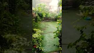 Rain In Goa #rain #goa #barish #trending #shortvideo