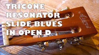 Outdoor Tricone Slide Blues Guitar in Open D