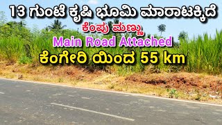 13 Gunta Farmland Sale Near Bengaluru #farmland #propertyforsale #bengaluru #99acres #agriculture