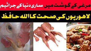 مرغی کے گوشت میں اتنے جراثیم|| اب کوئی بھی صحت مند نہیں || Khan jee official