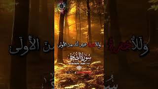 ❤️Heart❤️Touching Recitation of Surah AD- Duha #shorts #quran #surahduha #