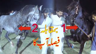 Best Horse Dance Mela Shakrila sharif