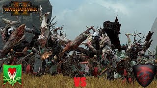 Tree Kin Travesty - Averlorn vs Vampire Counts -  Total War Warhammer 2: Online Battles #38