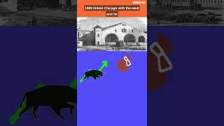 How Chicago Became America's Rail Capital 🚂 🌆 #shorts #ChicagoRailHub #TransportationHistory