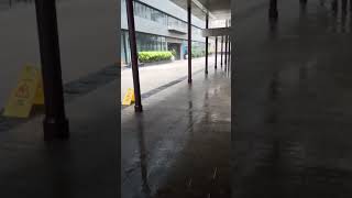 🔴Cyclone Mandous Live Updates - ருத்ரதாண்டவம் ஆடிய மாண்டஸ் | Chennai Rain Today | Cyclone Mandous