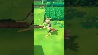 Random Shiny Taubsi/Pidgey in Pokémon Let’s Go Evoli/Eevee!🟤✨(Shiny Charm)