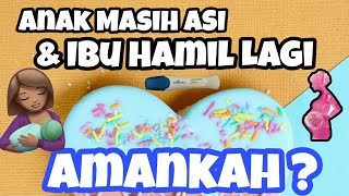 Ibu Hamil Tapi Masih Punya Baby yang Masih ASI - AMAN KAH ??