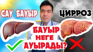 Бауыр ауруы белгілері. Бауыр ауырса не істеу керек? Бауыр ауруын емдеу. БЕКЗАТ дәрігерден кеңестер.