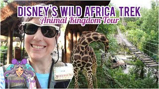 Disney World 2023 TOUR Wild Africa Trek