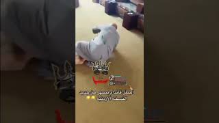 قلب الاسد فرع الأردن 😂