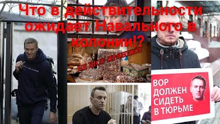 Что в действительности ожидает Навального в колонии!?