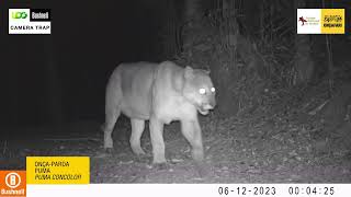 Melhores Momentos | Junho 2023 | Mata Atlântica, Base Parque Nacional do Itatiaia