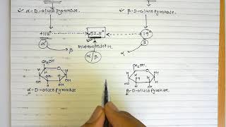 5. Sugar isomers (Part-4) Mutarotation