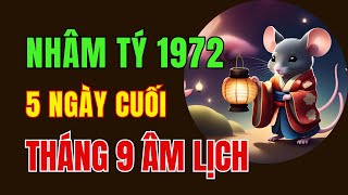 Tử vi tuổi Nhâm Tý 1972. 5 ngày cuối tháng 9 âm lịch. Có thể gặp những cơ hội tài lộc lớn