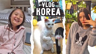 Комната корейского подростка и отчёт о субботнике в У-Ка / Домашний влог / KOREA VLOG /