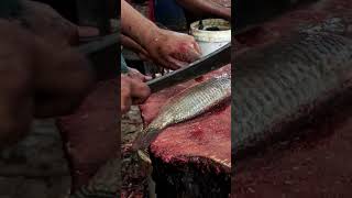 BIG TILAPIA FISH CUTTING SKILLS | Amazing Fish Cutting Skills #bdfishcutting