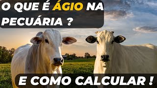 O que é ÁGIO na pecuária ?  e como calcular !