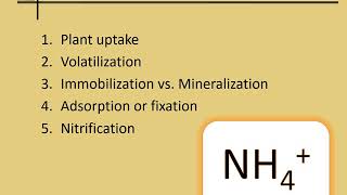 Soil Nitrogen