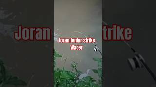 MANCING.!! IKAN WADER PENUH SENSASI.!!|#shorts #shortvideo #mancingikanwader #@AceSober-mk4bt