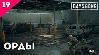 ➤ DAYS GONE (ЖИЗНЬ ПОСЛЕ) - ПРОХОЖДЕНИЕ №19 ЗАЧИСТКА ОРД #daysgone #daysgoneстрим