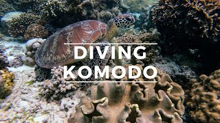 DIVING KOMODO NATIONAL PARK - HD #komodo#diving#indonesia