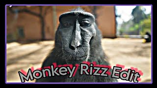 Rizzed🔥| Ft.Monekey Rizz Edit